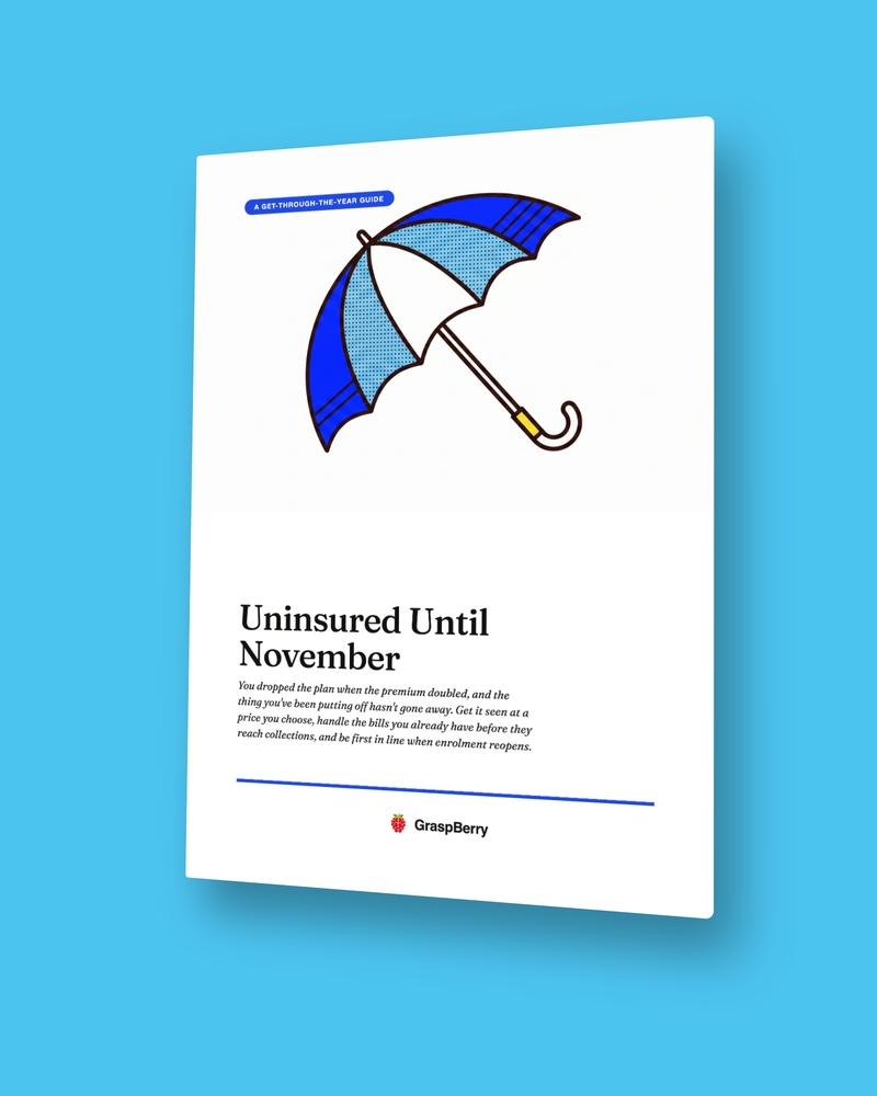 Uninsured Until November guide cover: an umbrella with a missing panel, on the sky-and-cobalt cover of the get-through-the-year guide